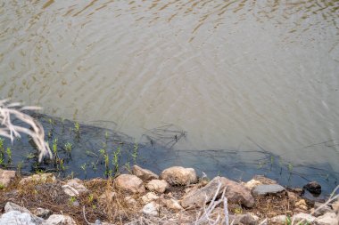 Su kirliliğinin, nehir kenarlarının ve çevreleyen ekosistemlerin etkilerini bu detaylı şekilde araştırın. .