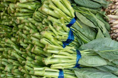 Yerel bir çiftlikte canlı yeşil sebze gösterisi sağlıklı beslenme seçenekleri sunuyor..