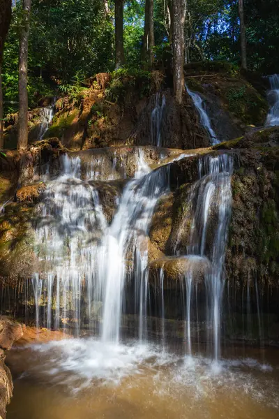 Sakin bir ormanda, doğanın güzelliğini ve sükunetini gösteren çarpıcı şelaleleri keşfedin..
