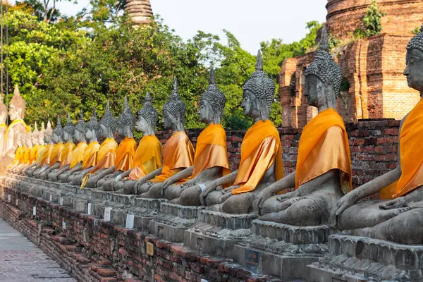 Ayutthaya 'nın dingin tapınak ortamındaki Buda heykellerinin sükunetini keşfedin..