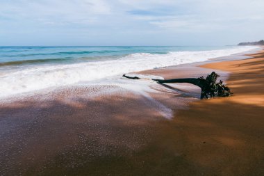 Sakin bir sahil manzarası sahile vuran yumuşak dalgaları sergiliyor..