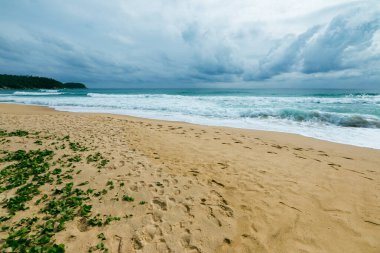 Dalgaların karamsar bir gökyüzünün altında kıyıya çarptığı huzurlu bir sahil sahnesi..