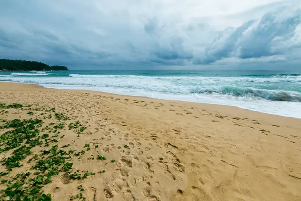 Dalgaların karamsar bir gökyüzünün altında kıyıya çarptığı huzurlu bir sahil sahnesi..