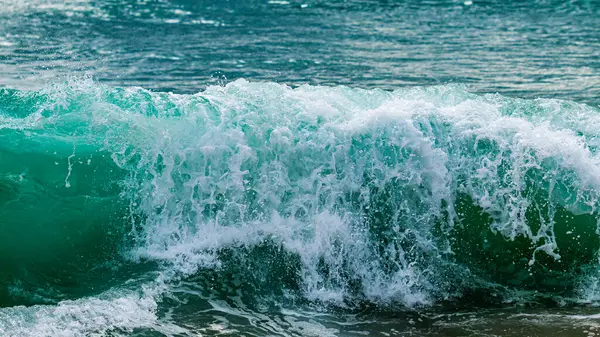Kıyıya çarpan okyanus dalgalarının dinamik enerjisini hissedin büyüleyici bir kıyı manzarası..