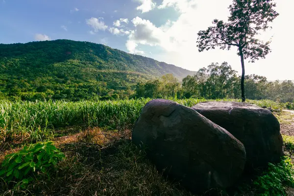 Huzurlu bir manzara, bereketli tarlaları ve görkemli dağları sergiler. Doğanın güzelliğini ve huzurunu yakalar..