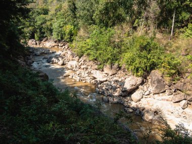 Huzurlu bir nehir canlı yeşillikler arasında süzülür. Dokunulmamış doğanın güzelliğini gösterir..
