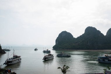 Halong Körfezi 'nin sakinliğini hissedin. Gemiler sakin sularda süzülüyor. Etrafı göz kamaştırıcı manzaralarla çevrili..