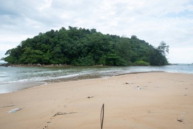 Bereketli ada yeşilliğinin dinlenmek ve macera için mükemmel olduğu sakin bir sahil sahnesini keşfedin..