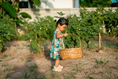 Çocuk bahçede sebze topluyor. Aile aktivitelerini doğal hale getiriyor.
