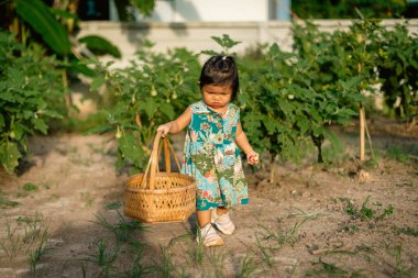 Kırsal alanda sebze toplayan bir çocuk yaşam tarzını doğal hale getiriyor.