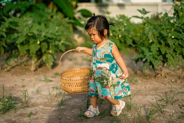 Çocuk bahçede sebze topluyor bahçe aktiviteleri doğal oyun perspektifi kuruyor