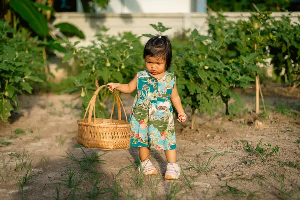 Bir sebze bahçesinde meyve toplayan çocuk gün ışığında yaşam tarzını neşeli bir konsept haline getiriyor.