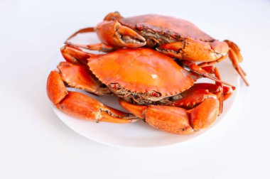 Yengeç pişirme etkinliği. Evde taze deniz ürünleri hazırlama. Mutfak manzarası.