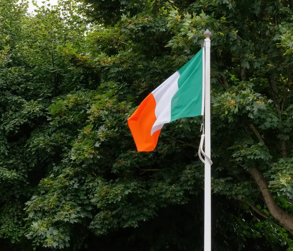 Ondeando Bandera Nacional Irlanda Contra Ramas Árboles Imagen De Stock
