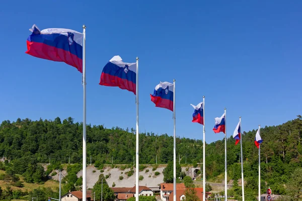 Ряд Махаючих Національних Прапорів Словенії Тлі Сільського Ландшафту Ліцензійні Стокові Зображення