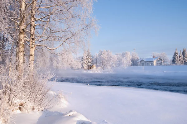 Река Протекает Через Зимний Пейзаж Деревья Покрытые Морозом — стоковое фото