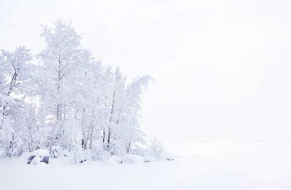 湖畔の冬景色 石や木を覆う新雪 — ストック写真