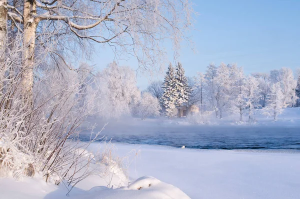 川の冬の風景を流れる 霜に覆われた木々 ストック写真