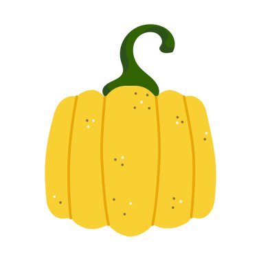 Cadılar Bayramı sarı balkabağı, sonbahar süslemesi, çıkartma, sanat eseri, Cadılar Bayramı ve Şükran Günü süslemeleri ve tasarımları için vektör baskısı.