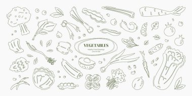 Yeşil sebze çizimleri. Lahana, brokoli ve diğer sebzelerle, sembollerle ve çıkartmalarla dolu. Grafik tasarım elementleri, sağlıklı besin işaretleri. Vektör illüstrasyonu.