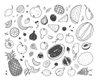 Meyve çizimleri, taze olgun, turunçgil, böğürtlen, muz ve diğer tropikal meyvelerden oluşan gerçekçi çizgi film sanatı. Vektör illüstrasyonu.