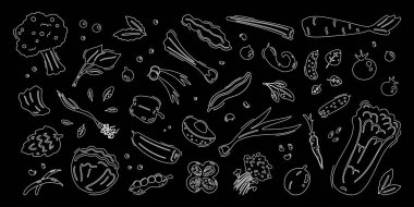 Beyaz çizgili sebze çizimleri. Lahana, brokoli ve diğer sebzelerle, sembollerle ve çıkartmalarla dolu. Grafik tebeşir tasarımı elementleri, sağlıklı besin işaretleri. Vektör illüstrasyonu.