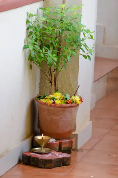 Evde Pooja ile Tulsi 'ye tapmak.