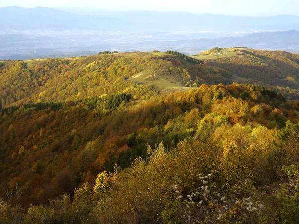 Renkli Ormanlı Dağların Sonbahar Manzarası Ekim Dağlarda — Stok fotoğraf