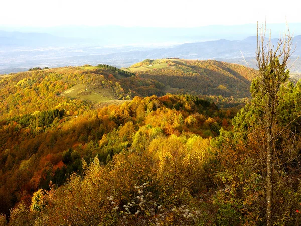 Paisaje Otoño Montaña Con Bosque Colorido Octubre Las Montañas —  Fotos de Stock