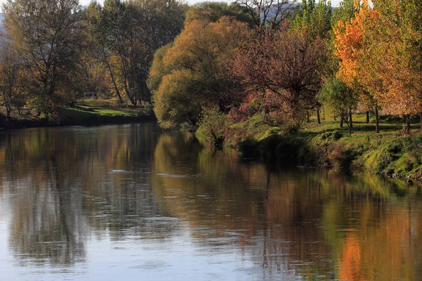 Barevné Podzimní Stromy Odrážející Vodě — Stock fotografie