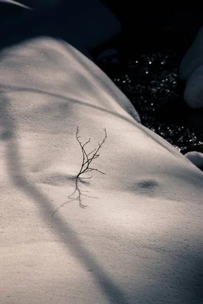 Primo Piano Dune Neve Sotto Luce Del Sole — Foto Stock