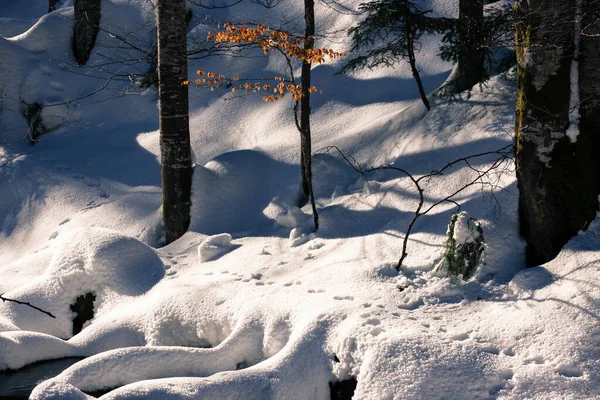 Detailní Záběr Sněhových Dun Pod Slunečním Světlem — Stock fotografie