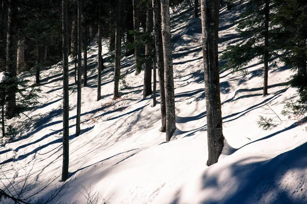 太陽の下で雪の砂丘のクローズアップショット — ストック写真