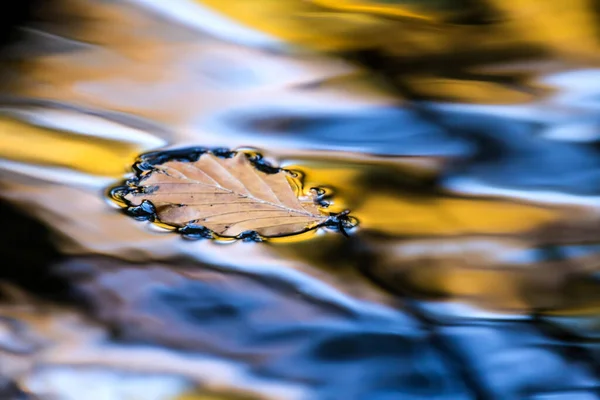 Barevné Podzimní Listí Vodě — Stock fotografie