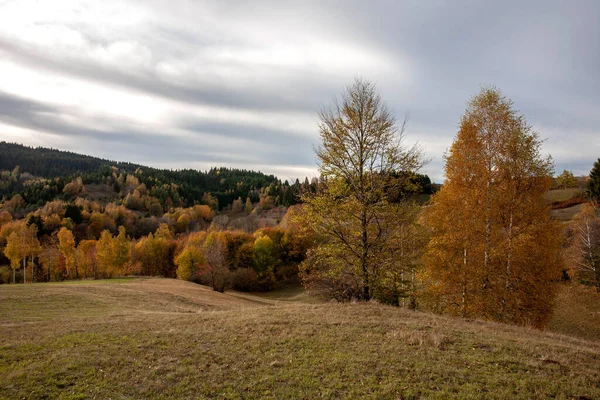 Kolorowy Krajobraz Górski Jesień Górach — Zdjęcie stockowe
