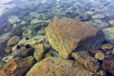 Deniz kıyısında, sabah denizde.