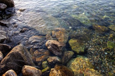 Deniz kıyısında, sabah denizde.