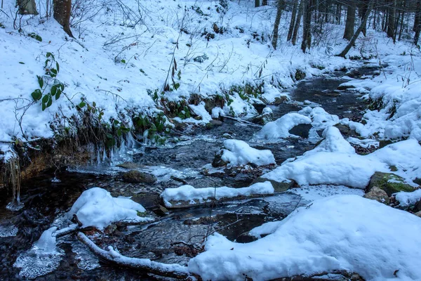 冬の渓流 流れの上の氷 — ストック写真