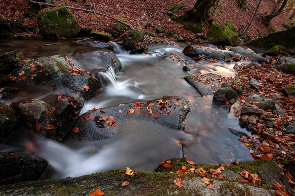 Горный Ручей Осенью Ручей Лесу — стоковое фото