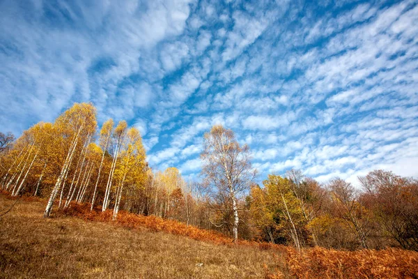 五彩缤纷的山景 秋天在山上 — 图库照片