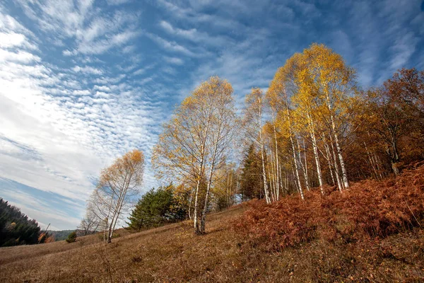 Colorful Mountain Landscape Autumn Mountains — Stock Photo, Image