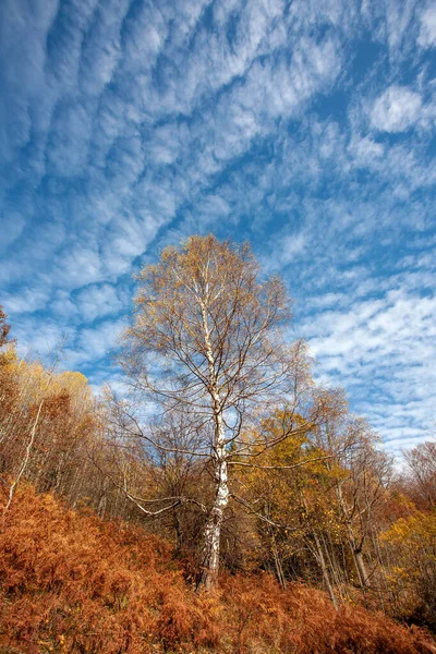 Barevná Horská Krajina Podzim Horách — Stock fotografie