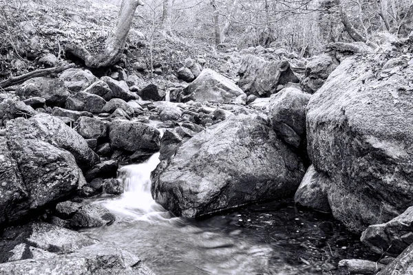 Stream in mountain, black and white