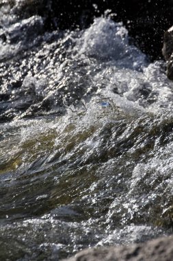 Beautiful sea waves with seashore.