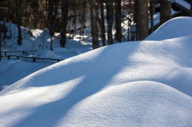 The white snow in winter. Snow landscape.