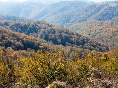 Sonbaharda güzel dağ manzarası.