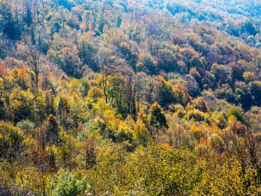 Sonbaharda güzel dağ manzarası.