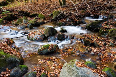 Sonbaharda dağ deresi, ormanda dere..
