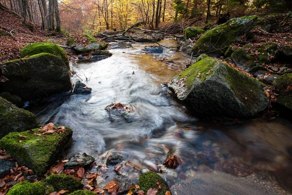 Ορεινή Ροή Φθινόπωρο Ρέμα Στο Δάσος — Φωτογραφία Αρχείου