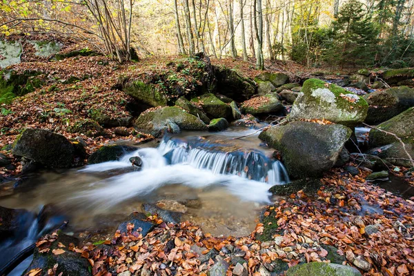 Ruisseau Montagne Automne Ruisseau Dans Forêt — Photo